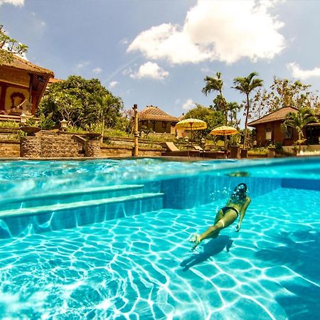Mondo Surf Village تْشانغو المظهر الخارجي الصورة
